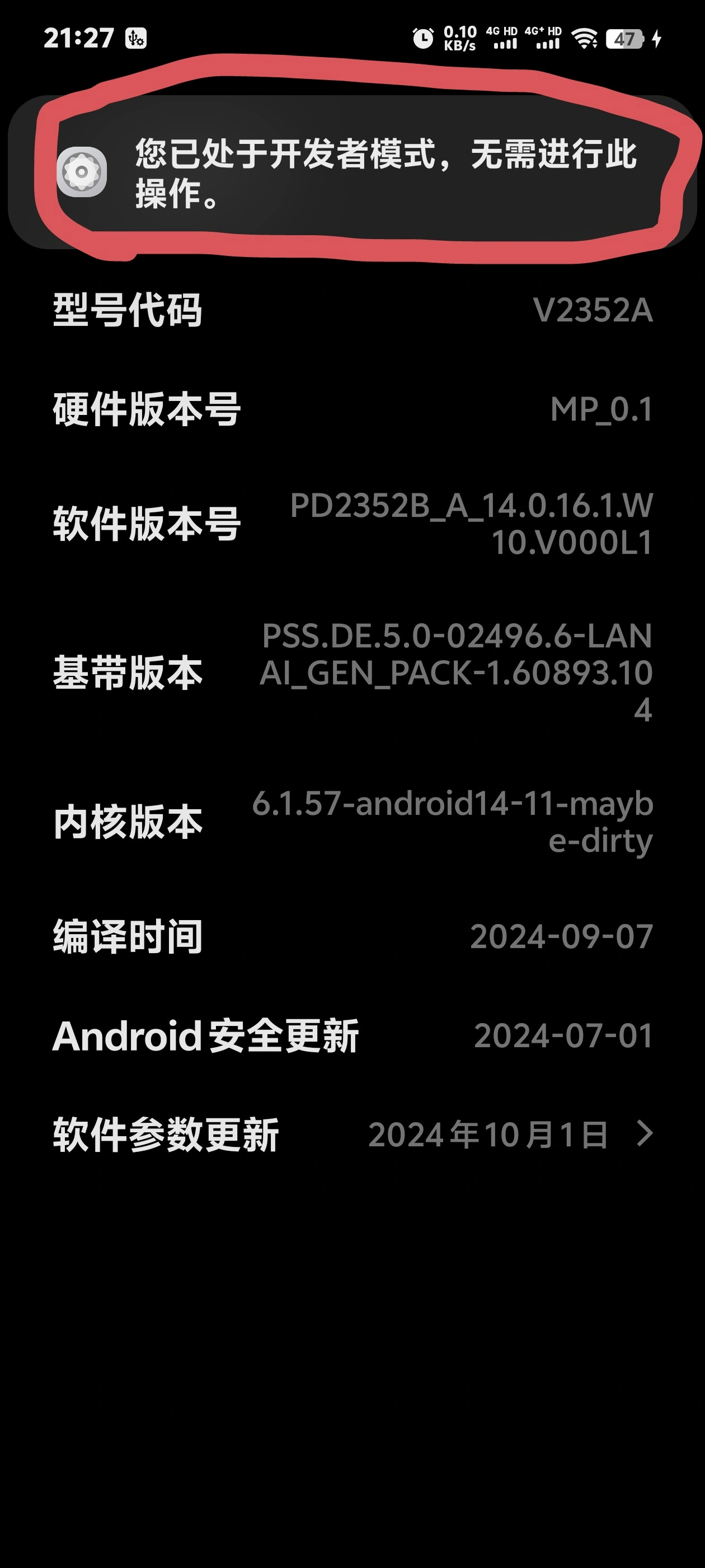 已打开开发者选项